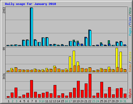 Daily usage for January 2010