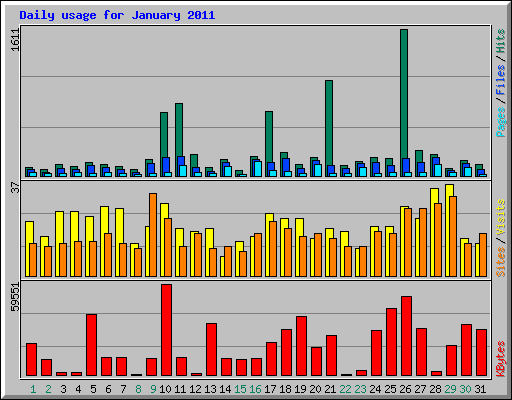 Daily usage for January 2011