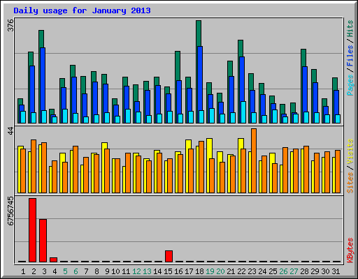 Daily usage for January 2013