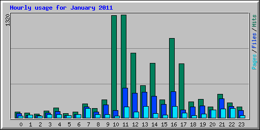 Hourly usage for January 2011